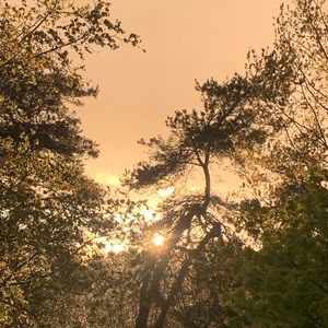 Meet your Posher, Evie